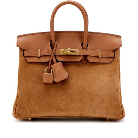 Birkin 25 fashion